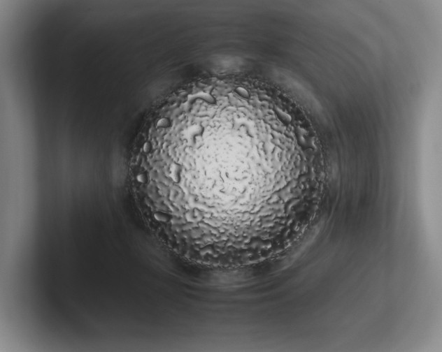 X0000102260367200807251334