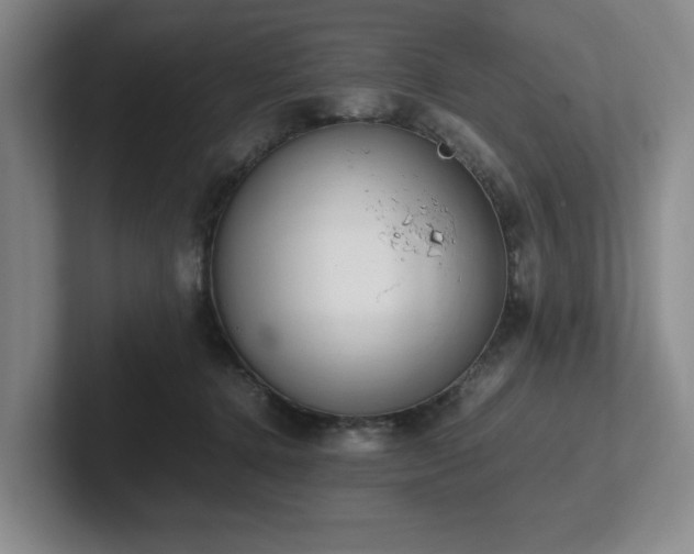 X0000102260368200807251334