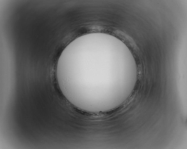 X0000102260369200807251334