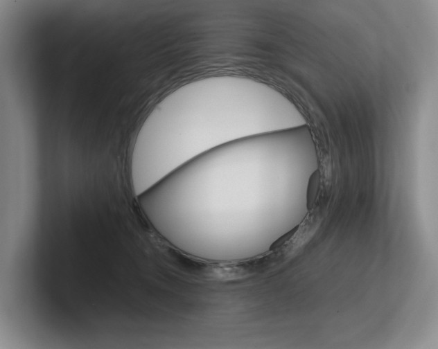 X0000102260372200807251334