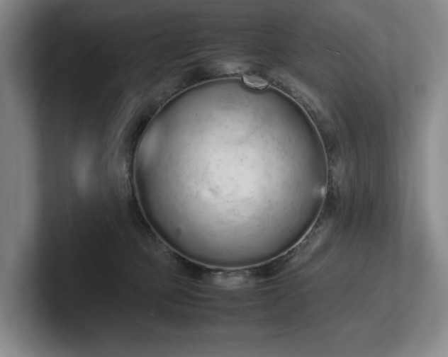 X0000102260373200807251334