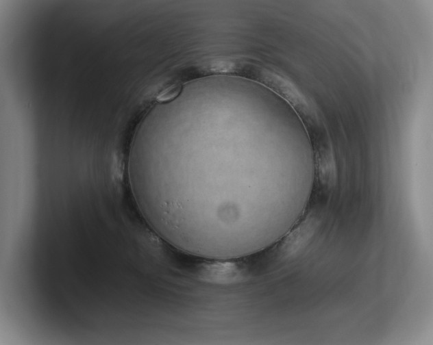 X0000102260374200807251334