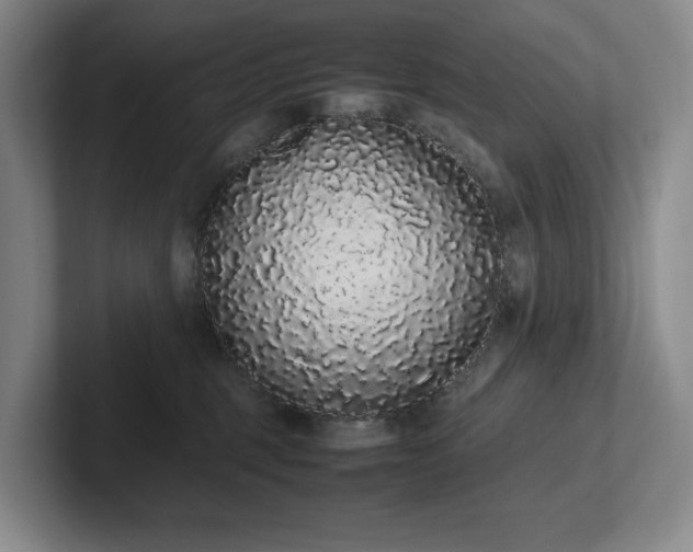 X0000102260375200807251334