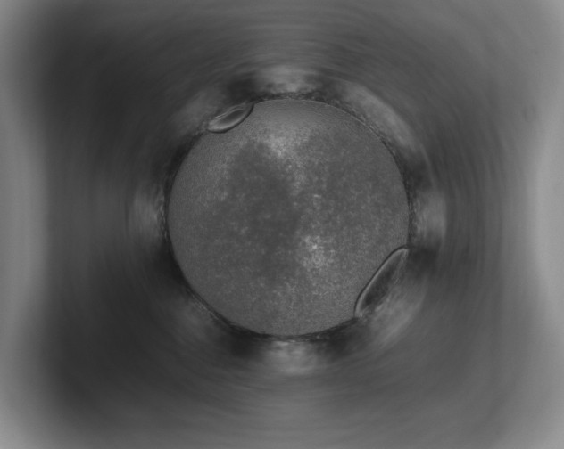 X0000102260376200807251334