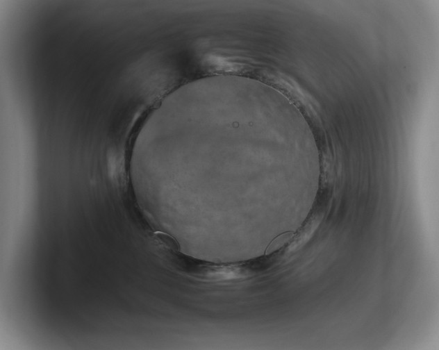 X0000102260377200807251334