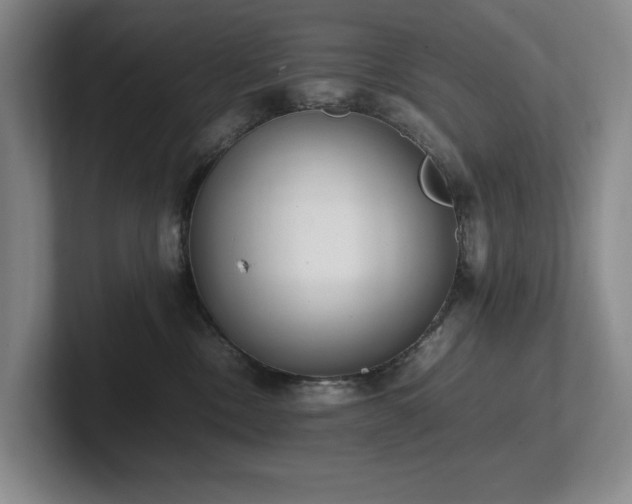 X0000102260378200807251334