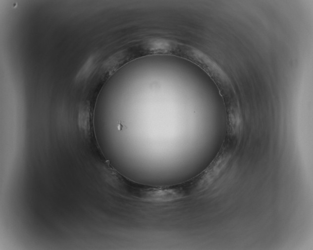 X0000102260379200807251334