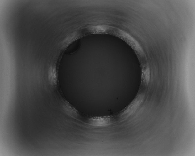 X0000102260381200807251334