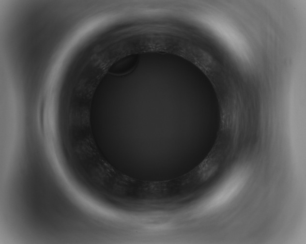 X0000102260383200807251334