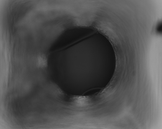 X0000102260384200807251334