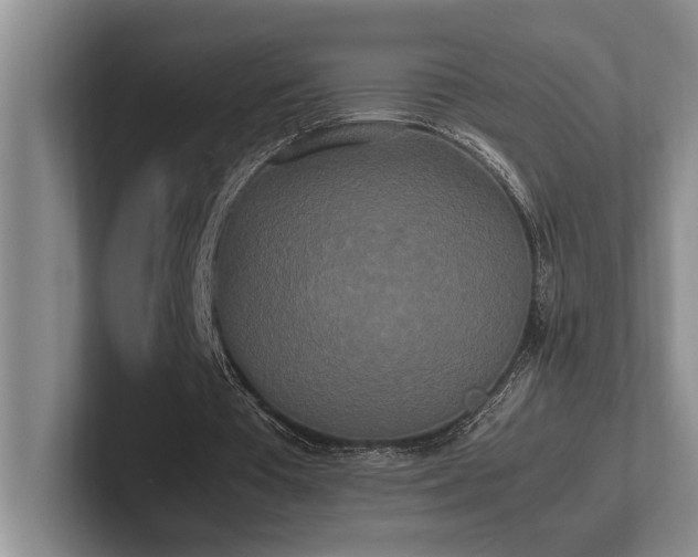 X0000102260385200807251334