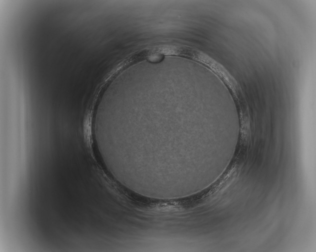 X0000102260386200807251334