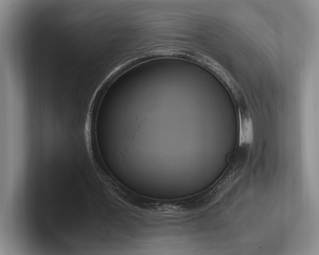 X0000102260387200807251334