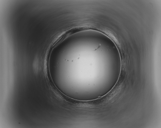 X0000102260389200807251333