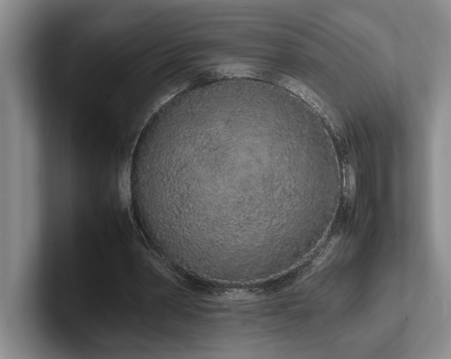 X0000102260390200807251333