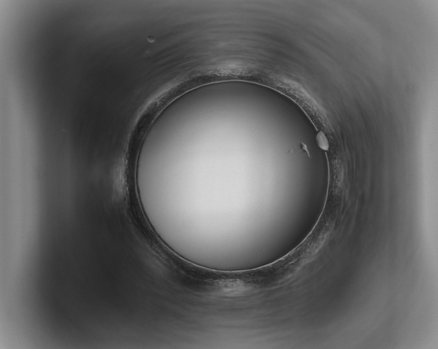 X0000102260392200807251333