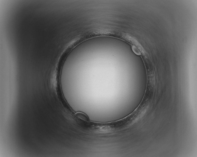 X0000102260395200807251333