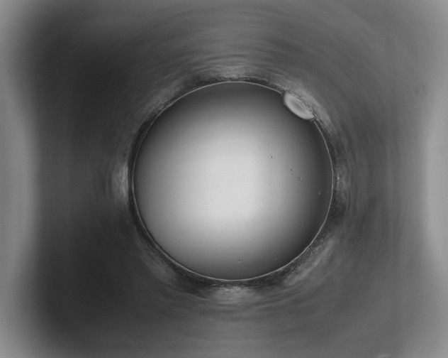 X0000102260397200807251333