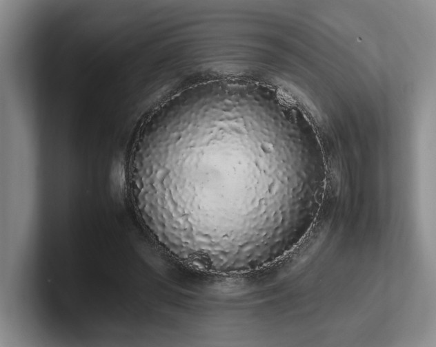 X0000102260398200807251333