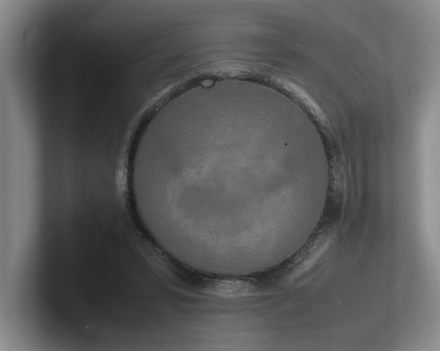 X0000102260399200807251333