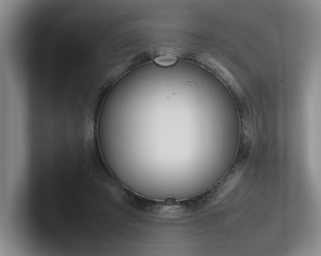 X0000102260401200807251333