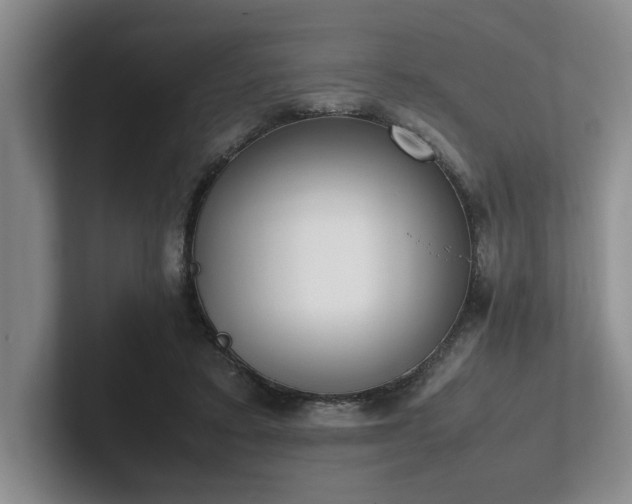 X0000102260403200807251333