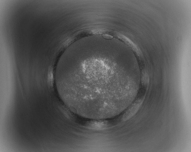 X0000102260405200807251333