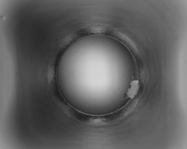 X0000102260407200807251333