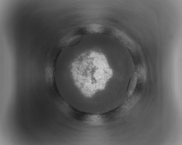 X0000102260409200807251333