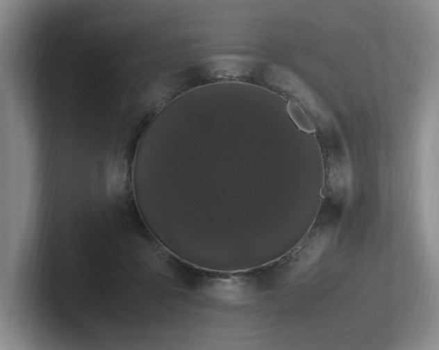 X0000102260411200807251333