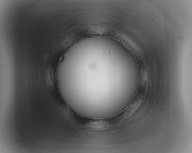 X0000102260414200807251333