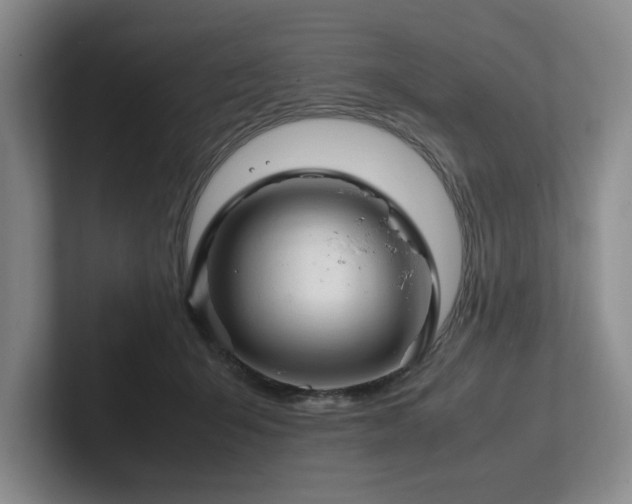 X0000102260415200807251333