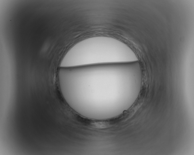 X0000102260417200807251333