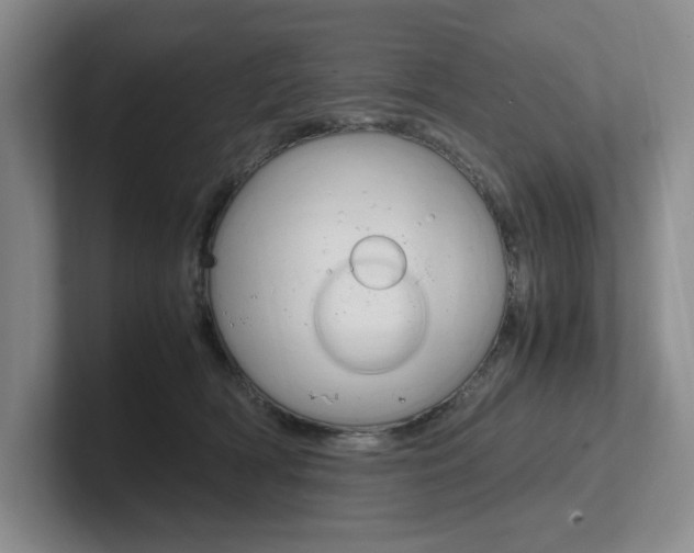 X0000102260418200807251333