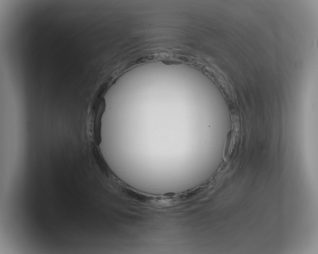 X0000102260419200807251333