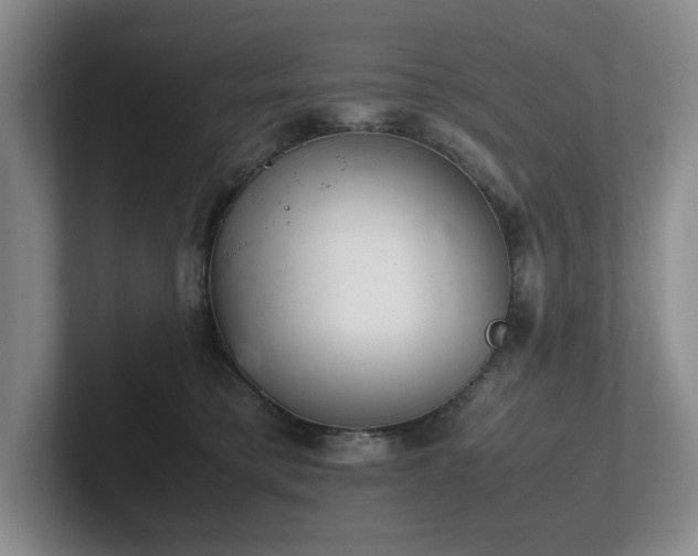 X0000102260421200807251333