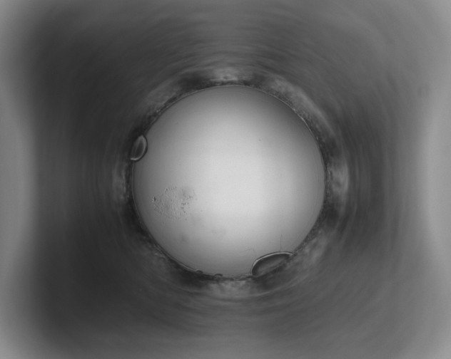 X0000102260422200807251333