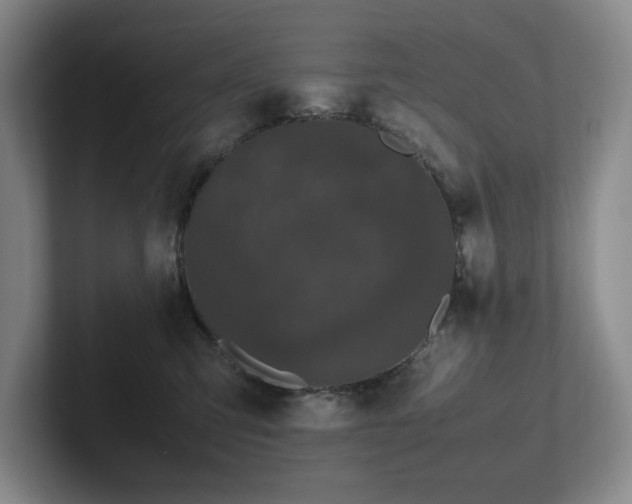 X0000102260423200807251333