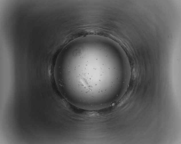 X0000102260424200807251333