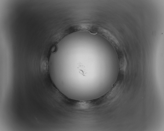 X0000102260425200807251333