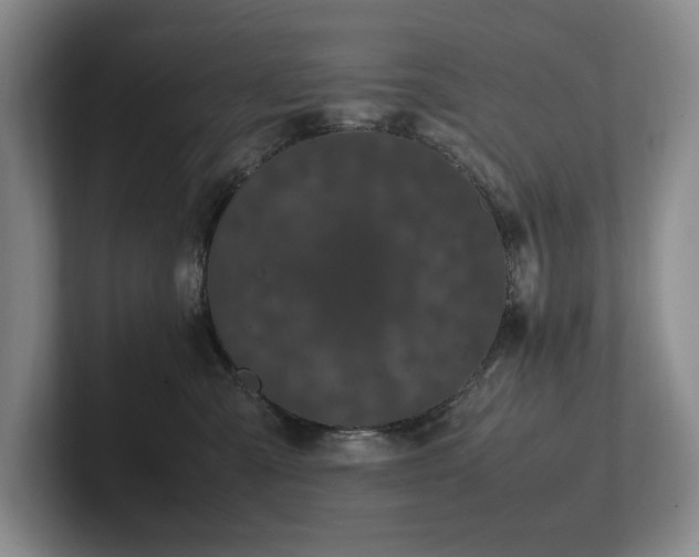 X0000102260427200807251333