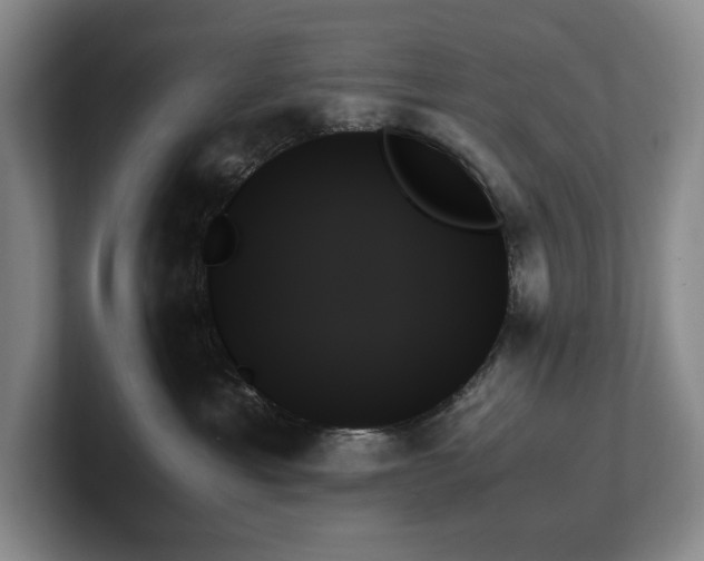 X0000102260429200807251333