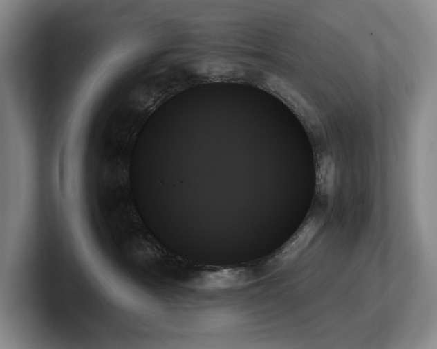 X0000102260430200807251333