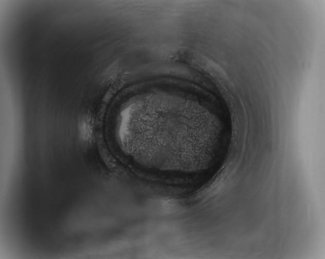 X0000102260432200807251333