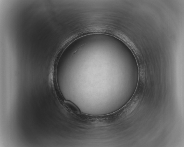 X0000102260434200807251332