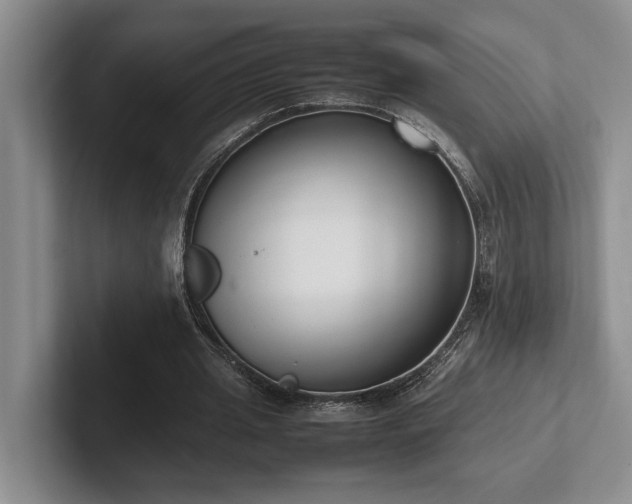 X0000102260437200807251332