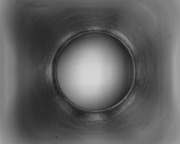 X0000102260439200807251332