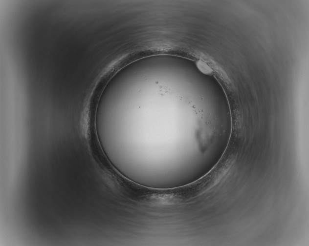 X0000102260440200807251332