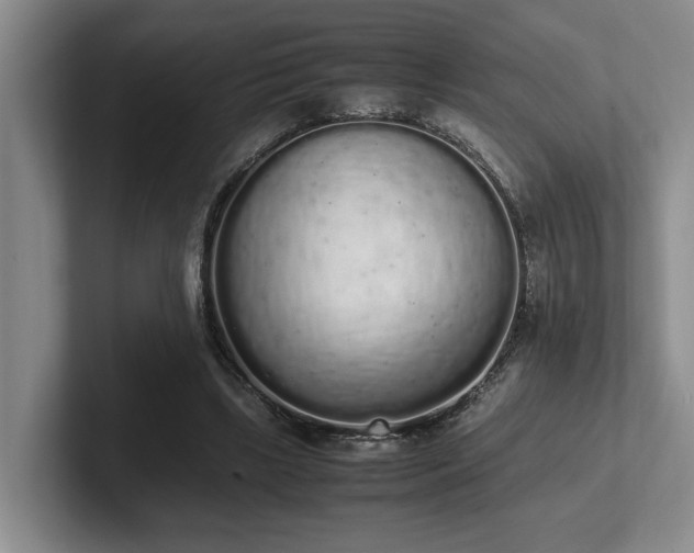 X0000102260443200807251332