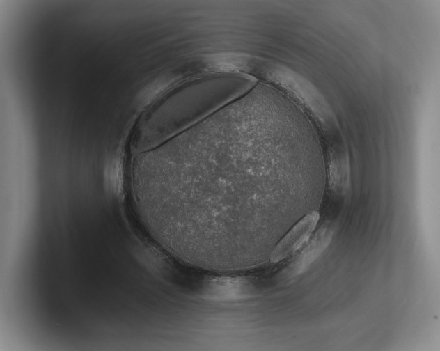 X0000102260444200807251332